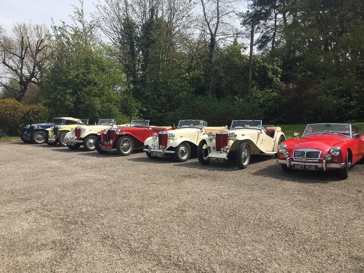 Seven vintage cars parked in a row on a gravel surface with trees and bushes in the background.