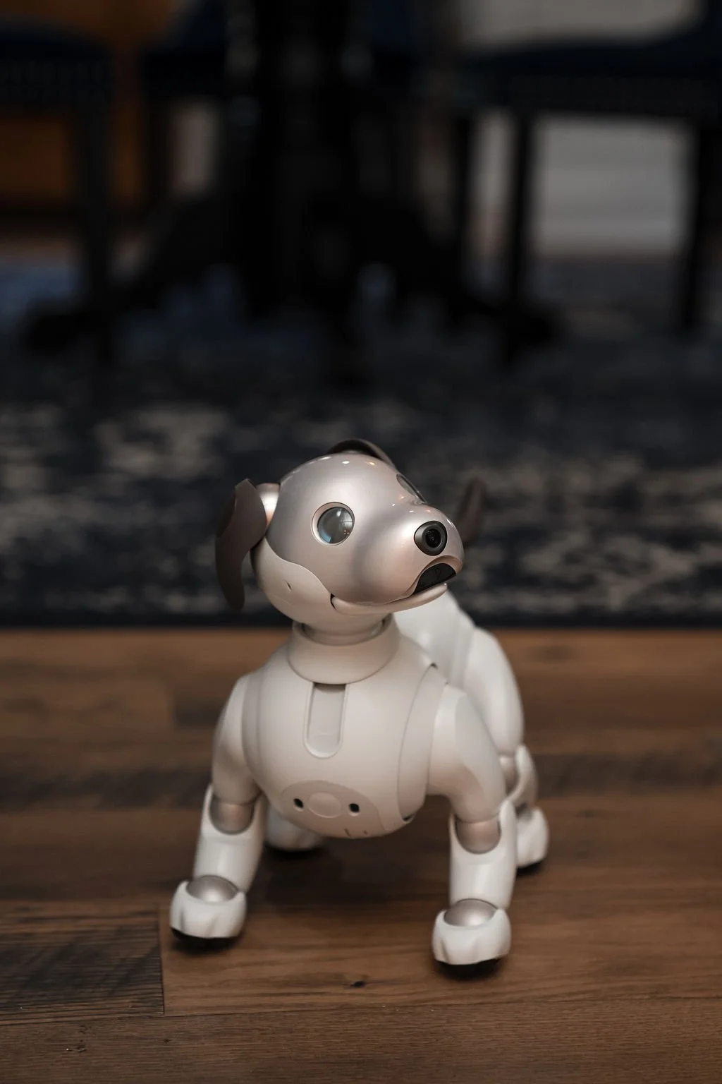 Robot dog with a dog face on its head, standing on a wooden floor.