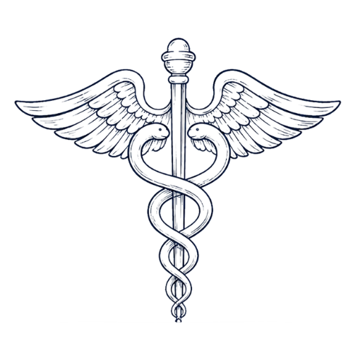 Silver medical caduceus symbol with two snakes entwined around a staff and wings at the top.
