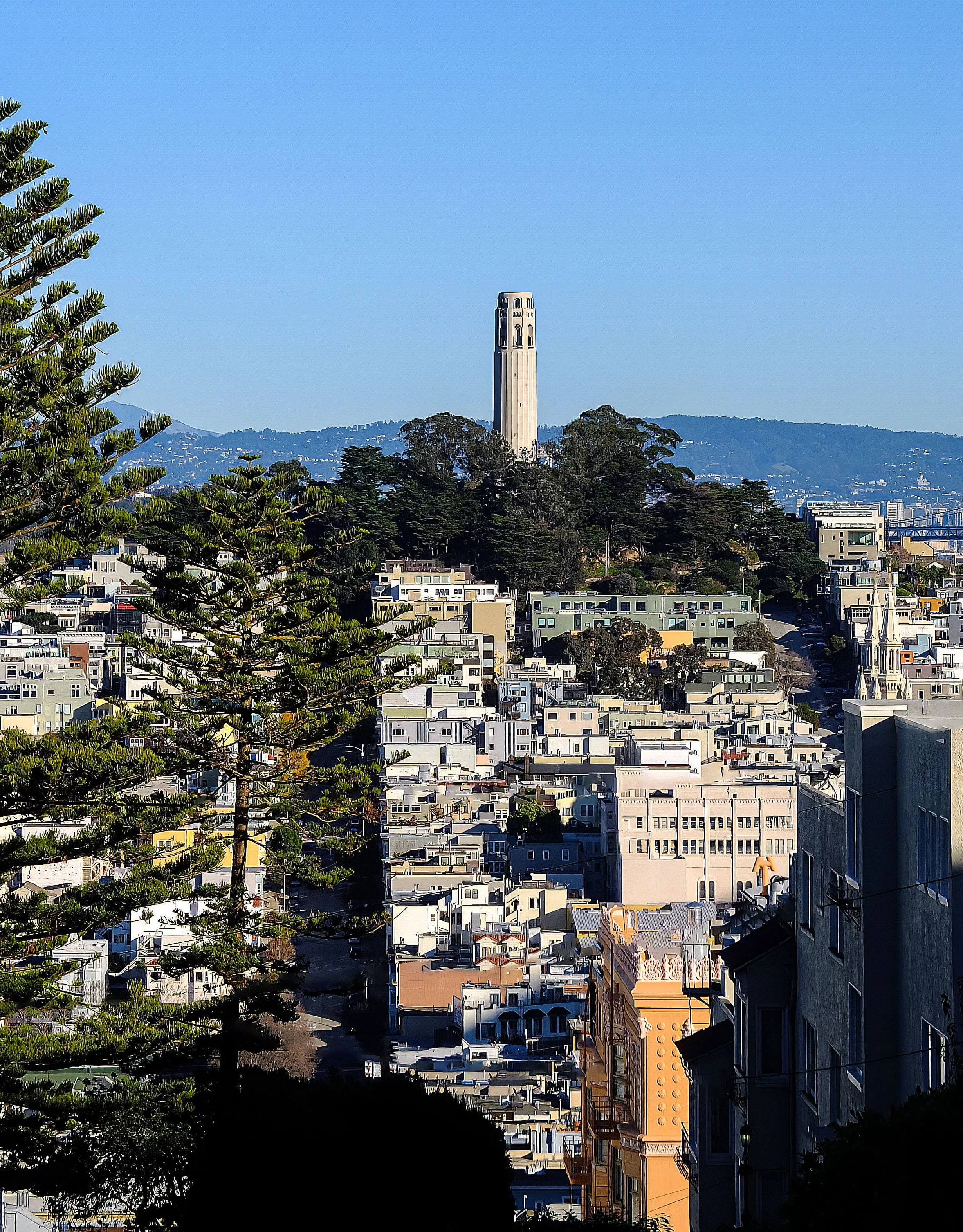 Cityscape of San Francisco with the Coit Tower on Telegraph Hill, overlooking dense residential and commercial buildings, with mountains in the background and a clear blue sky.