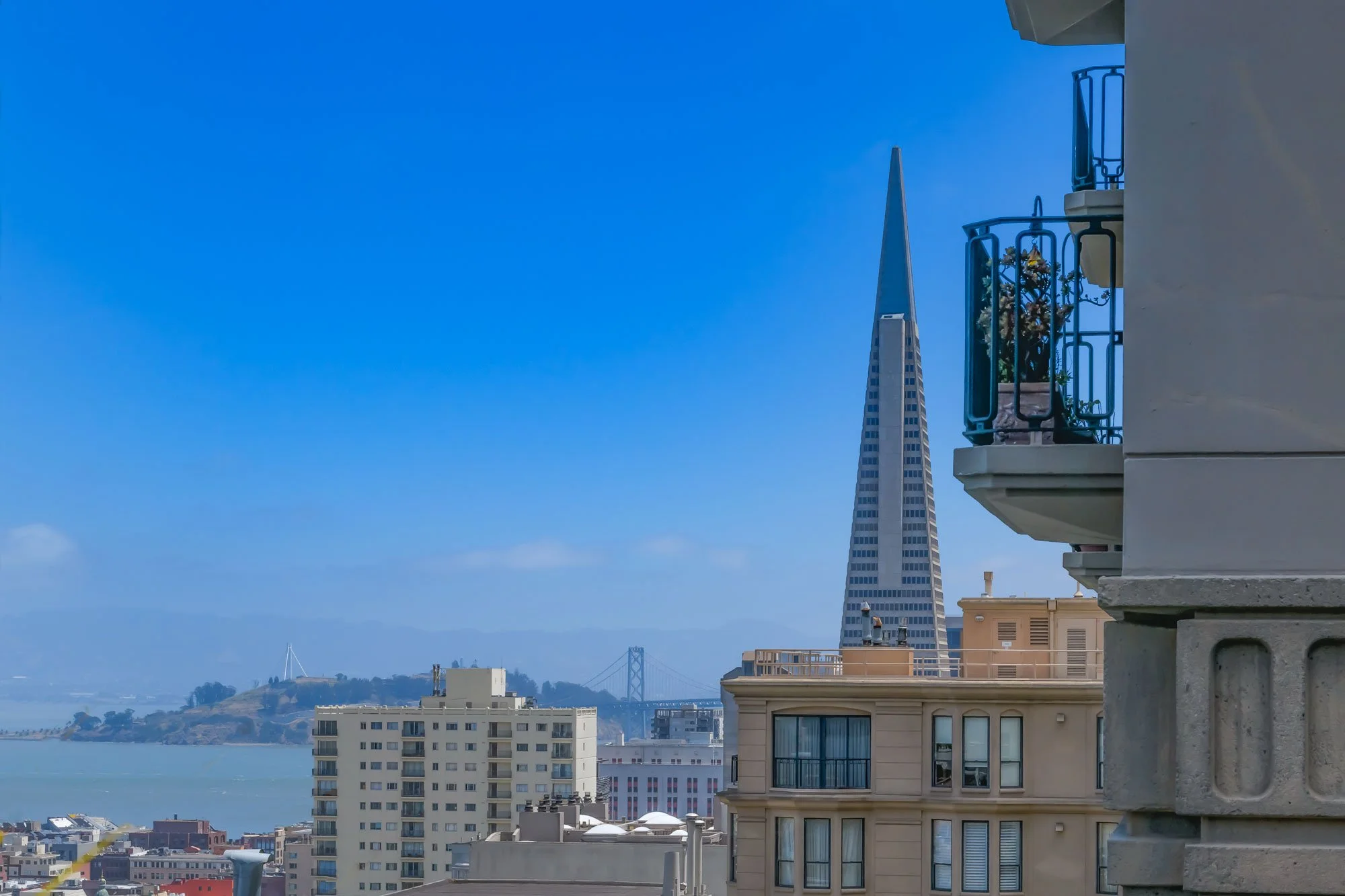 View of San Francisco skyline with the Transamerica Pyramid and Bay Bridge in the background, taken from a balcony with some potted plants and building facades in the foreground.