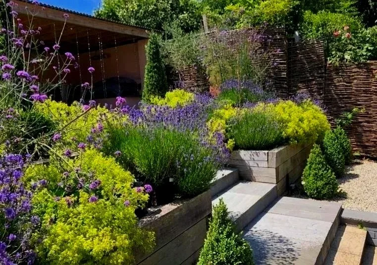 A landscaped garden with various purple and yellow flowers, green shrubs, and a wooden fence in the background.