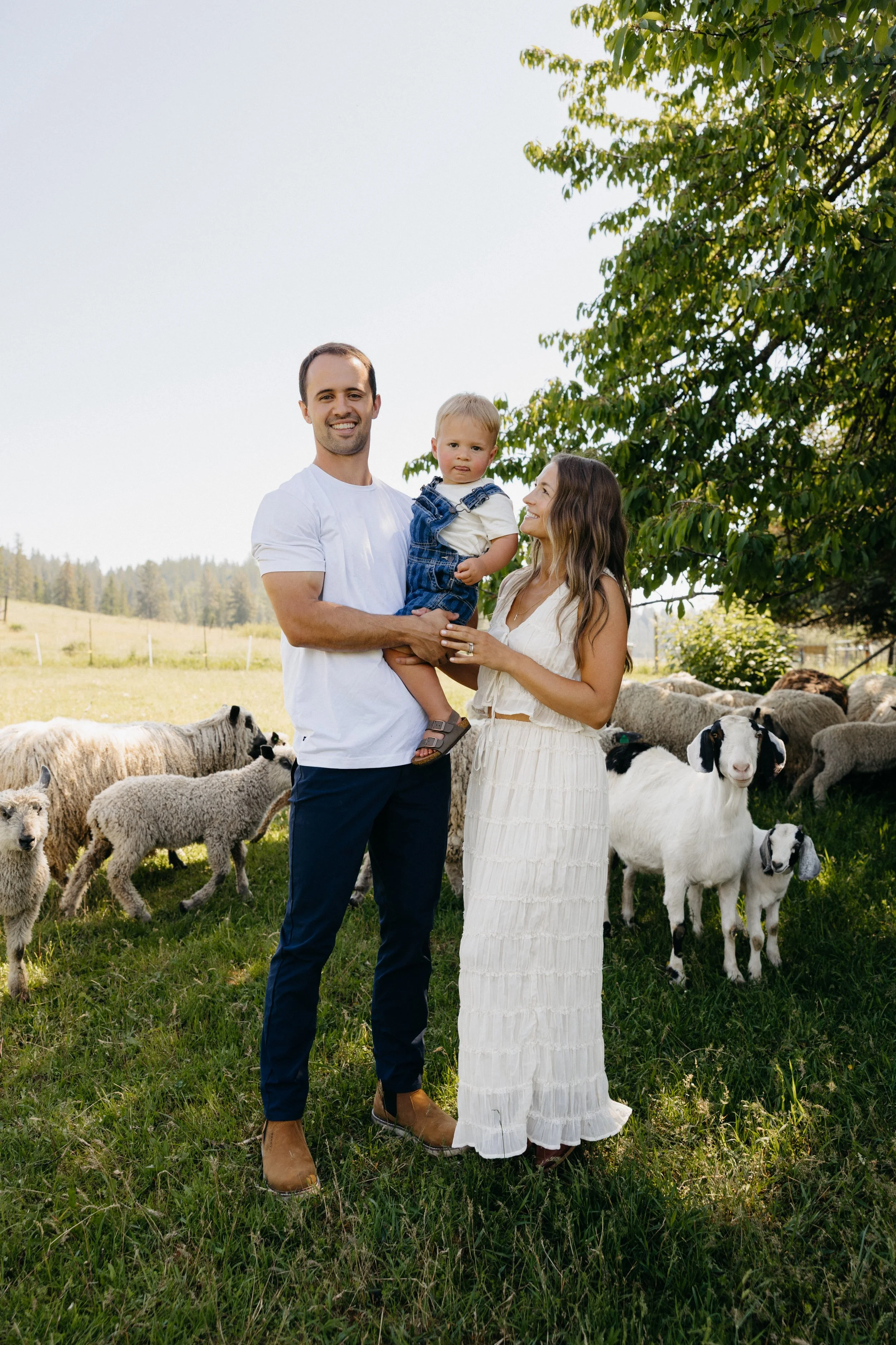A family of three standing in a grassy field with sheep and goats, with trees in the background and a clear blue sky.
