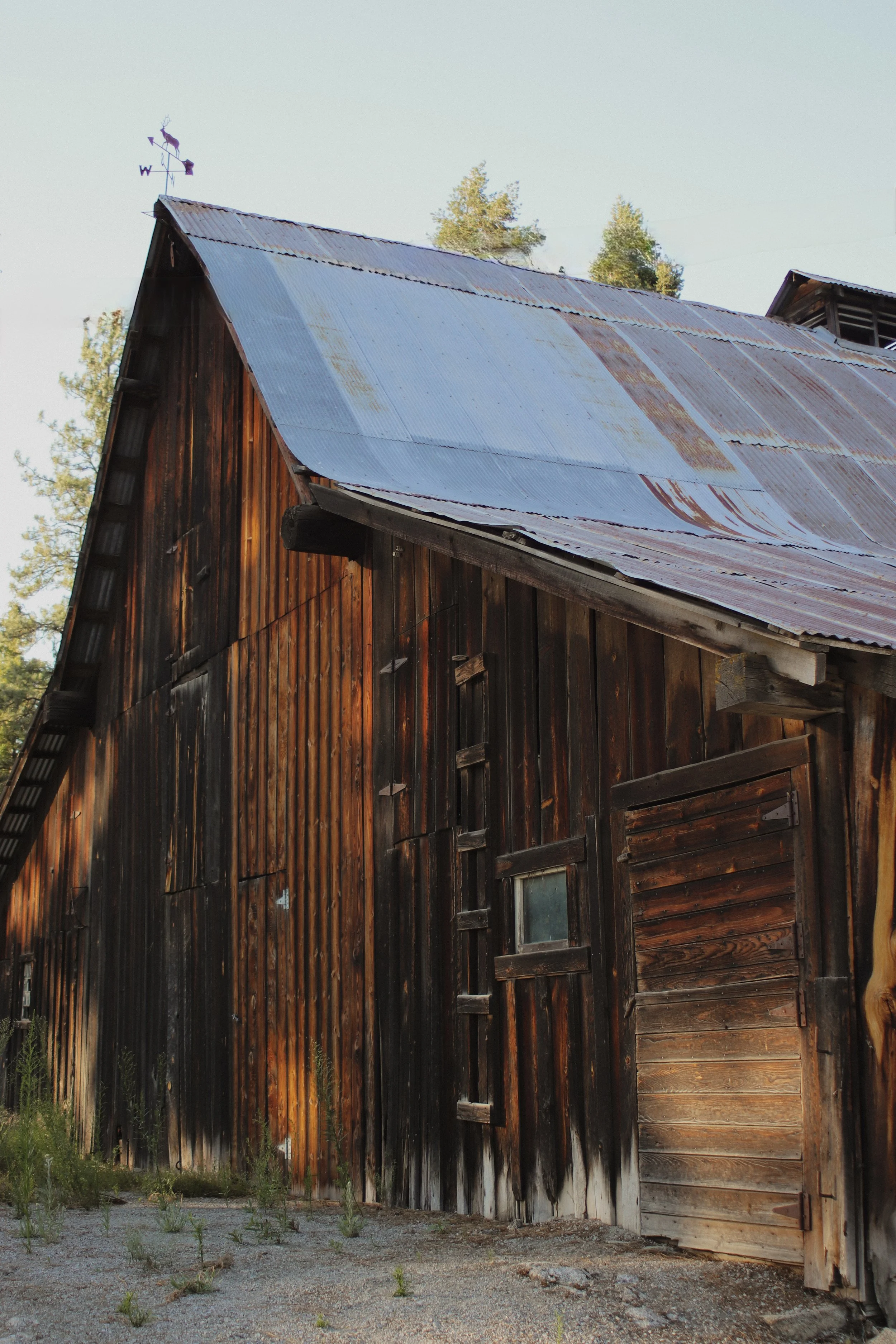 An old wooden barn with a rusted metal roof surrounded by trees and overgrown grass.