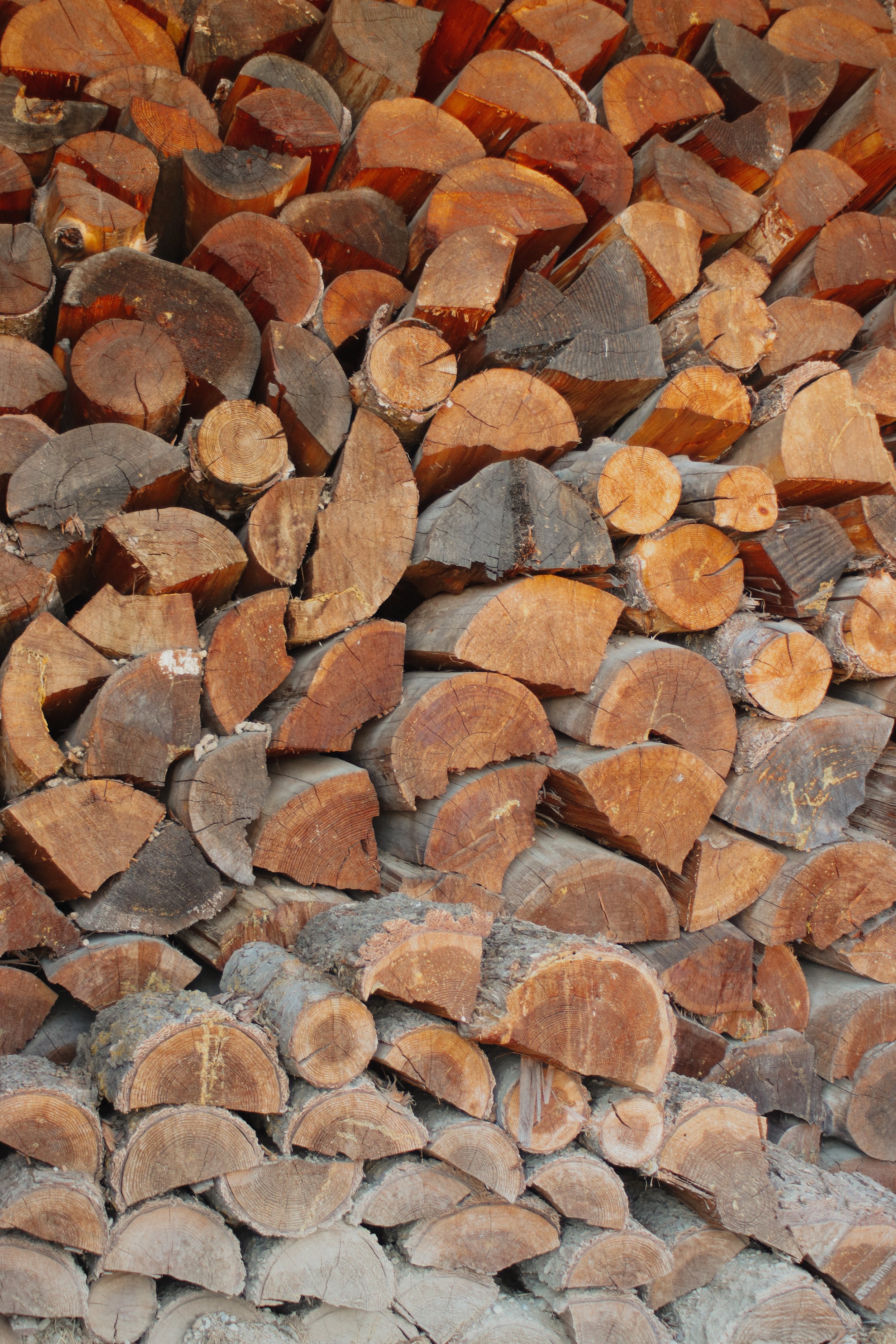 Stacked firewood logs with cut ends facing outward, showing natural wood grain and growth rings.