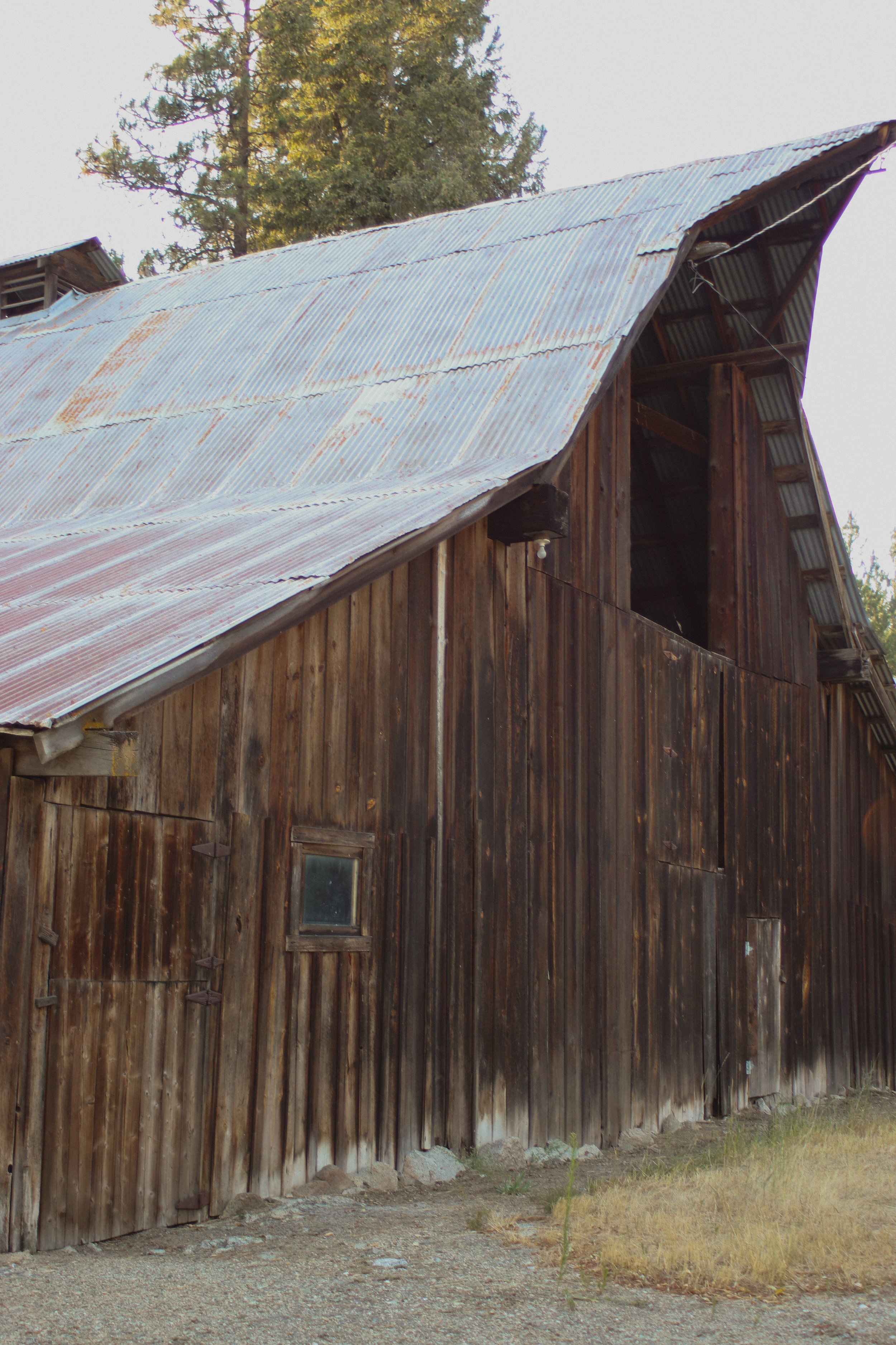 Old wooden barn with a rusty metal roof, surrounded by grass and trees in the background.