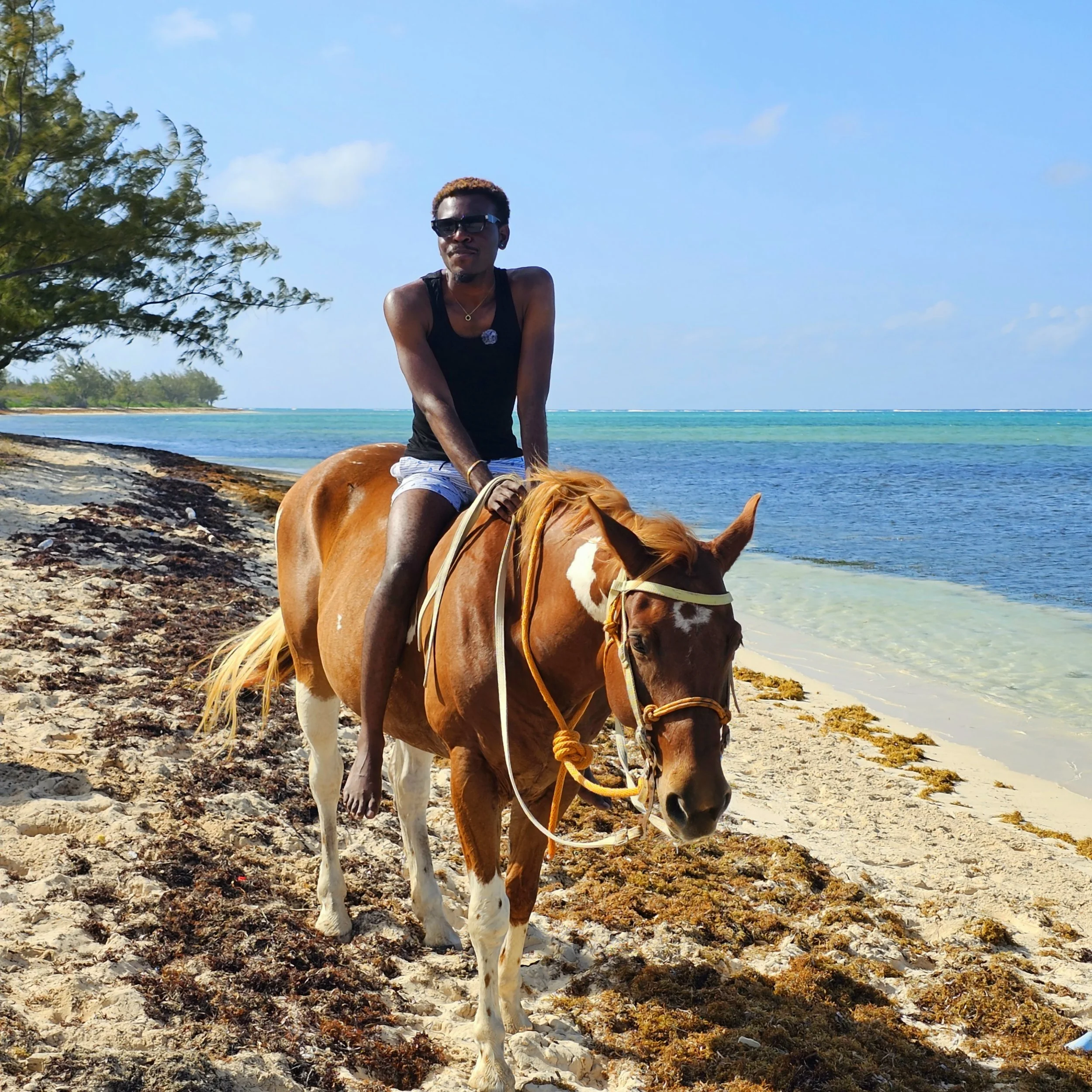 A person with short hair, sunglasses, and a black tank top riding a brown and white horse on a beach with clear blue water and a tree on the left side.