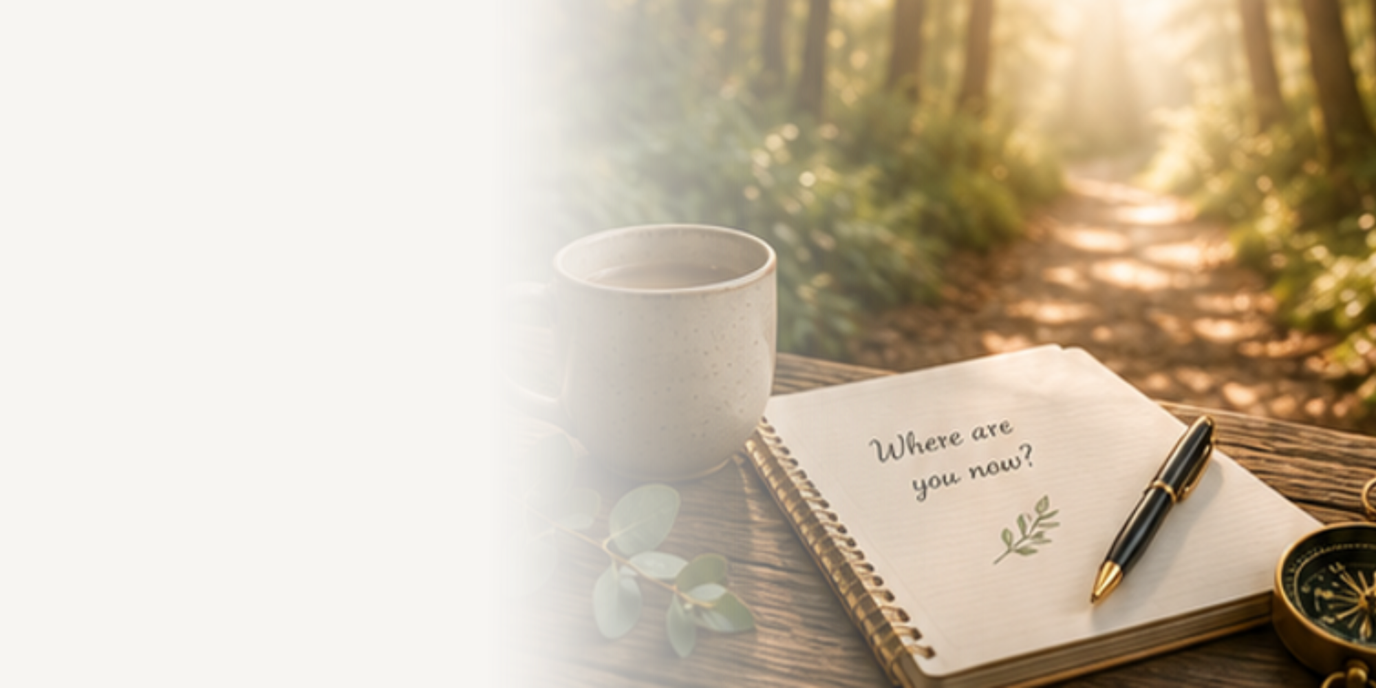 Coffee beside a notebook with the words "Where are you now" overlooking a woodland path, symbolising calm conversations, strategic clarity and practical support for purpose-led organisations.