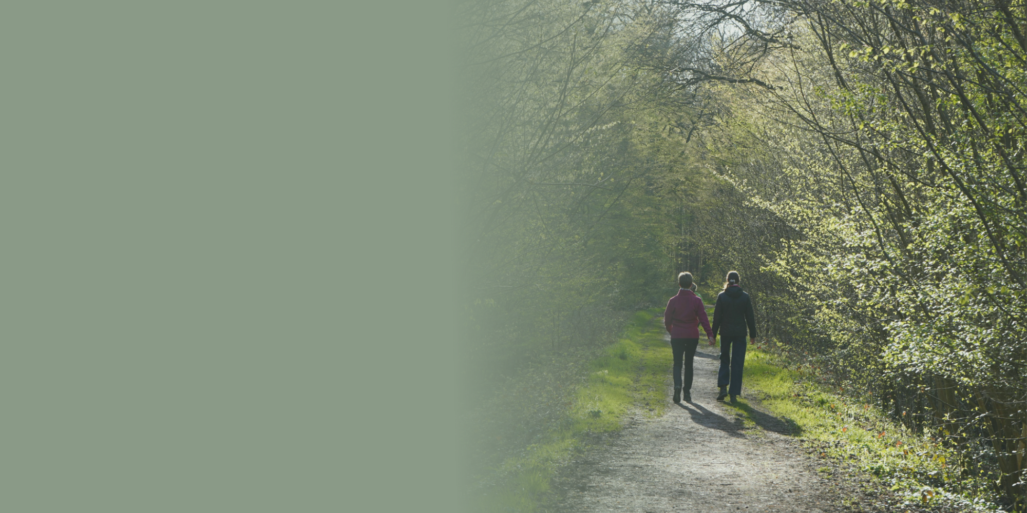 Two people walking together along a woodland path, representing partnership, strategic support and helping purpose-led organisations create lasting change.