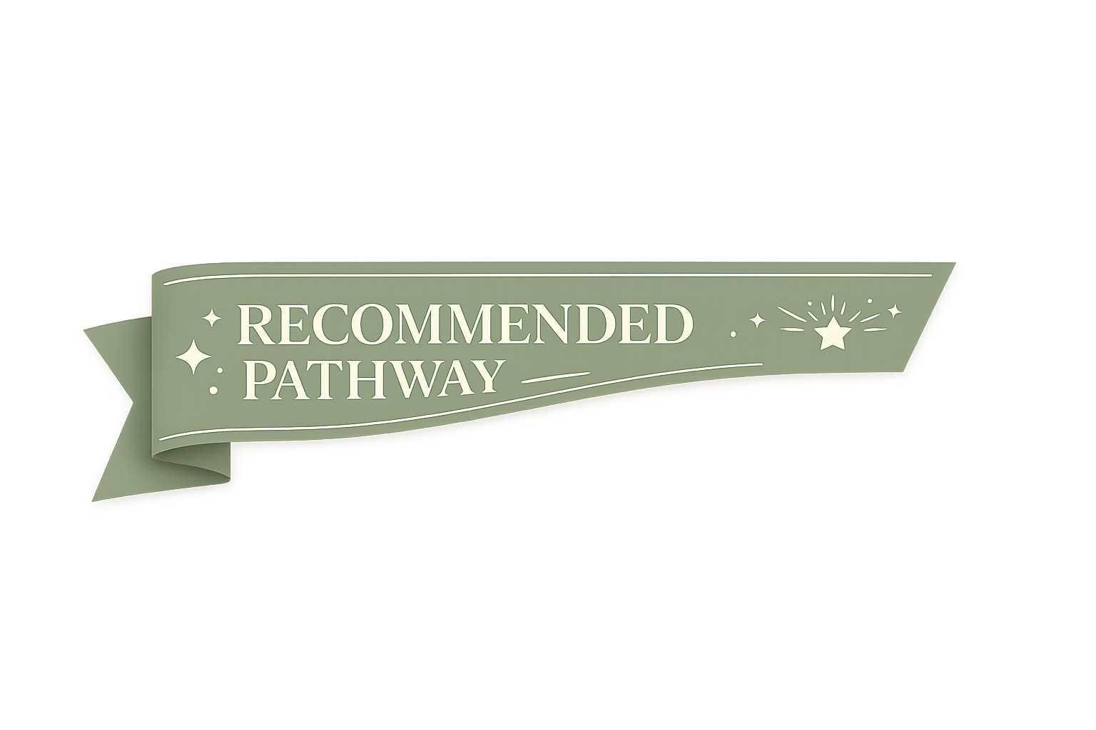 Recommended pathway ribbon highlighting the Commission Ready Toolkit as the complete framework for building a commission-ready organisation.