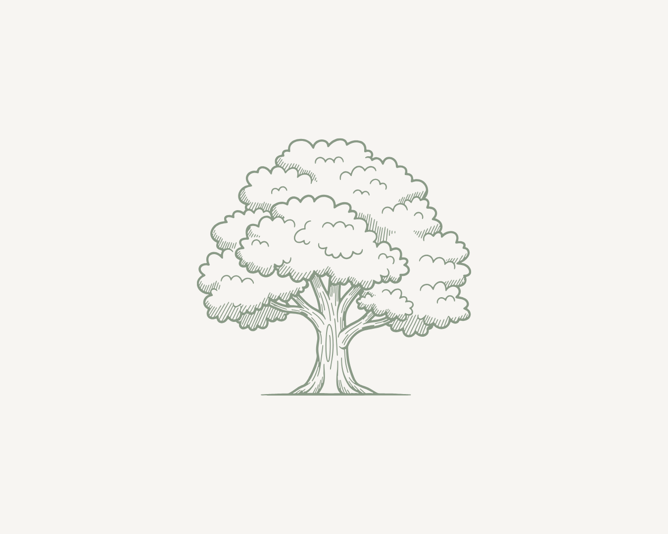 Line drawing of a large deciduous tree with a thick trunk and abundant canopy, epresenting sustainable impact, long-term growth and organisational resilience.