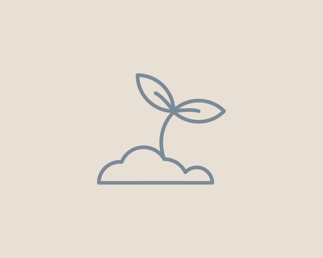 Simple line drawing of a young plant with two leaves sprouting from the soil representing sustainable organisational growth and long-term impact.