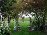 A garden pathway with trees and decorative stone lanterns