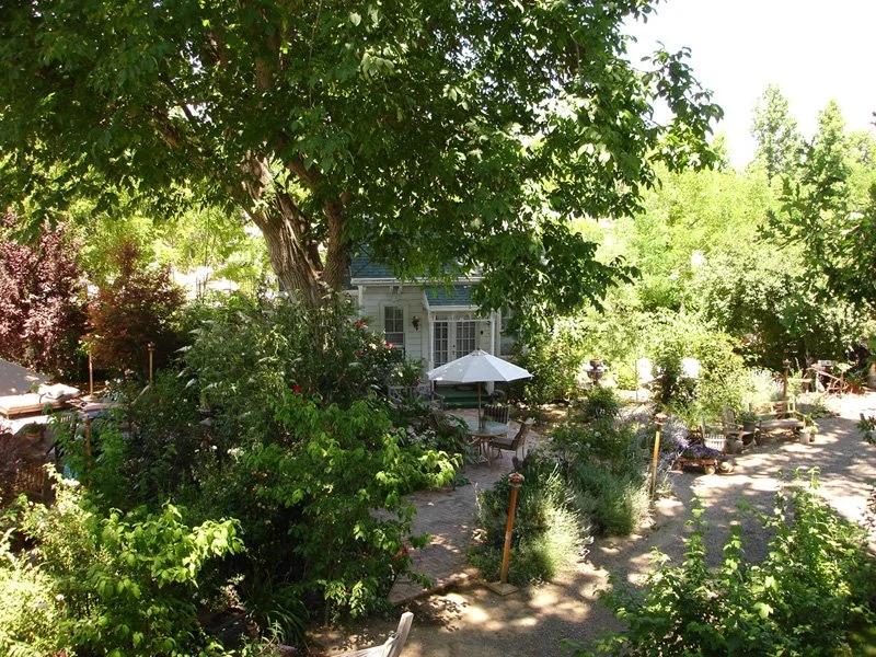 r46.jpg