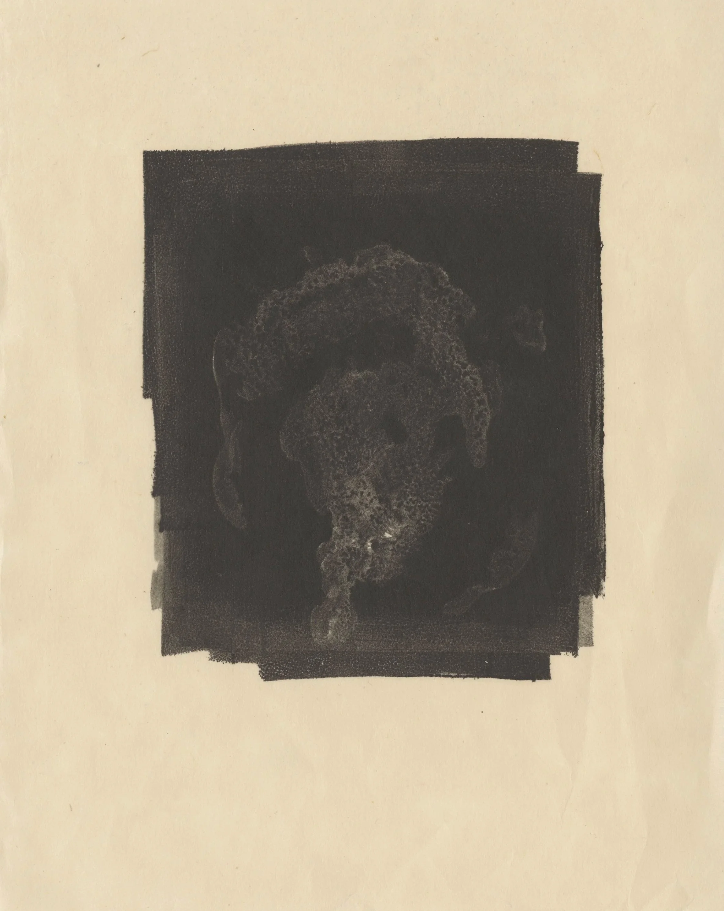 oyster shell monotype