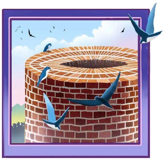What Makes A Good Roost Site?