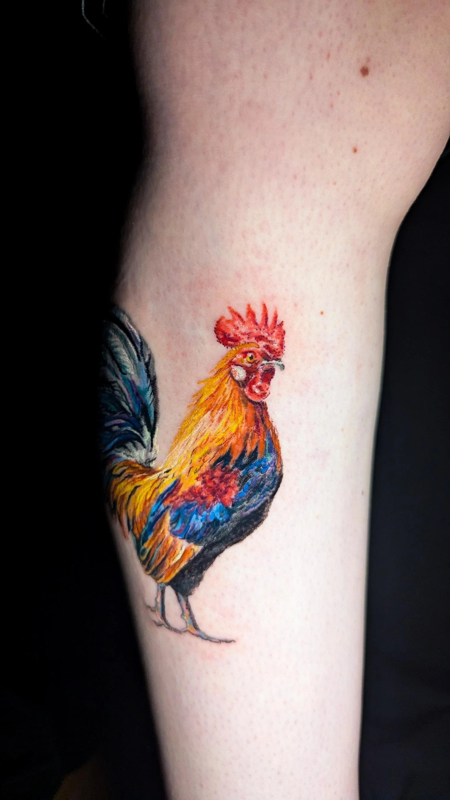 cock.jpeg
