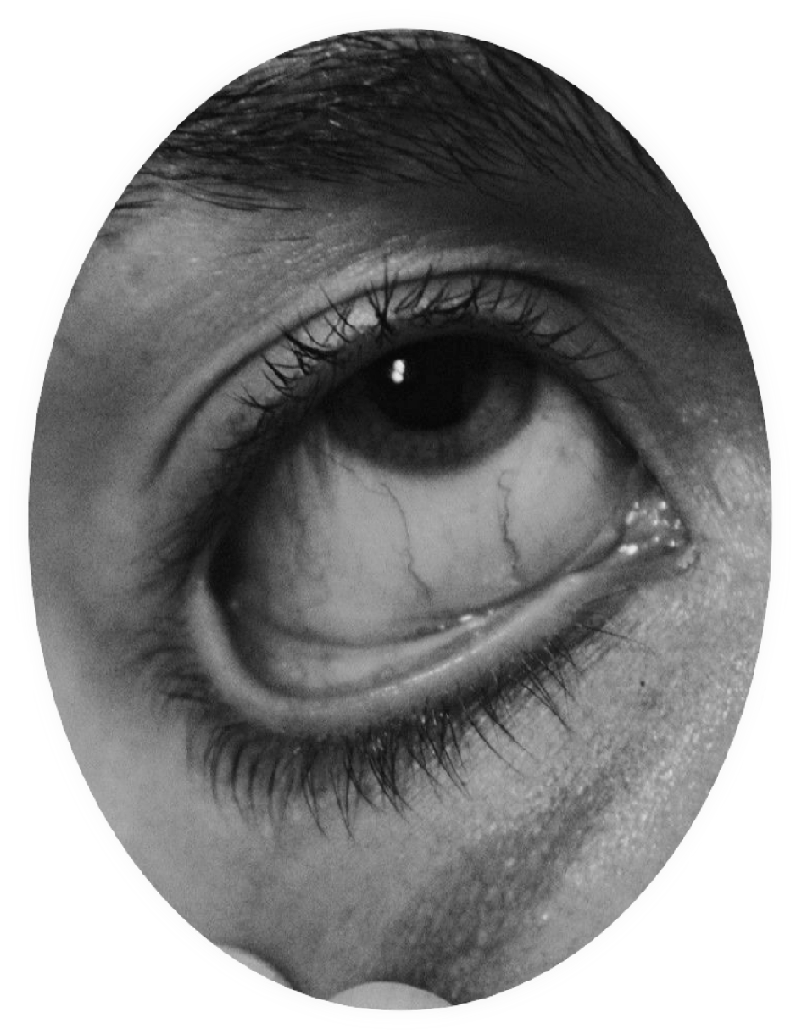 anatomical-eye-3in-360-4in-450.png