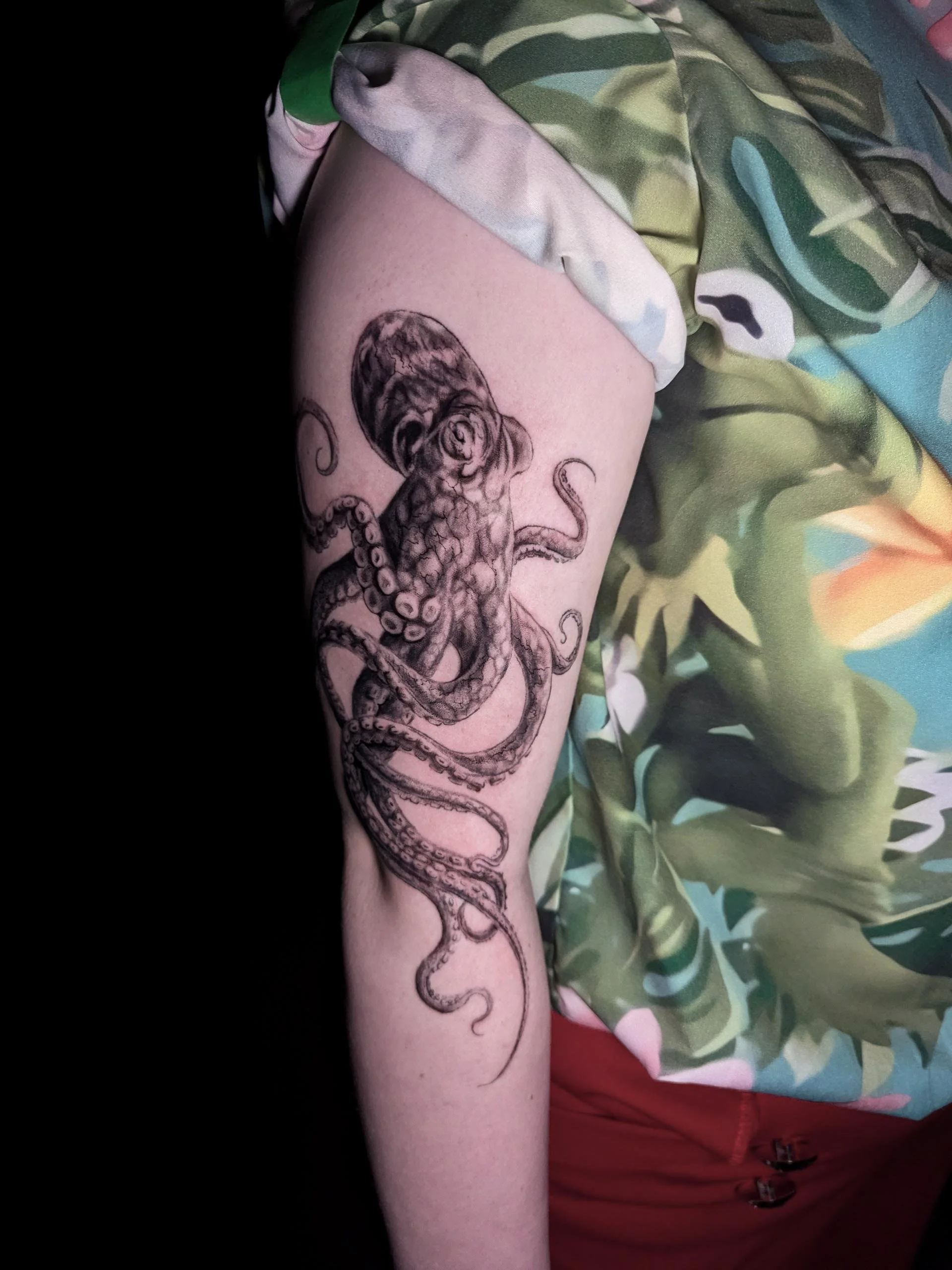 octopus.jpeg
