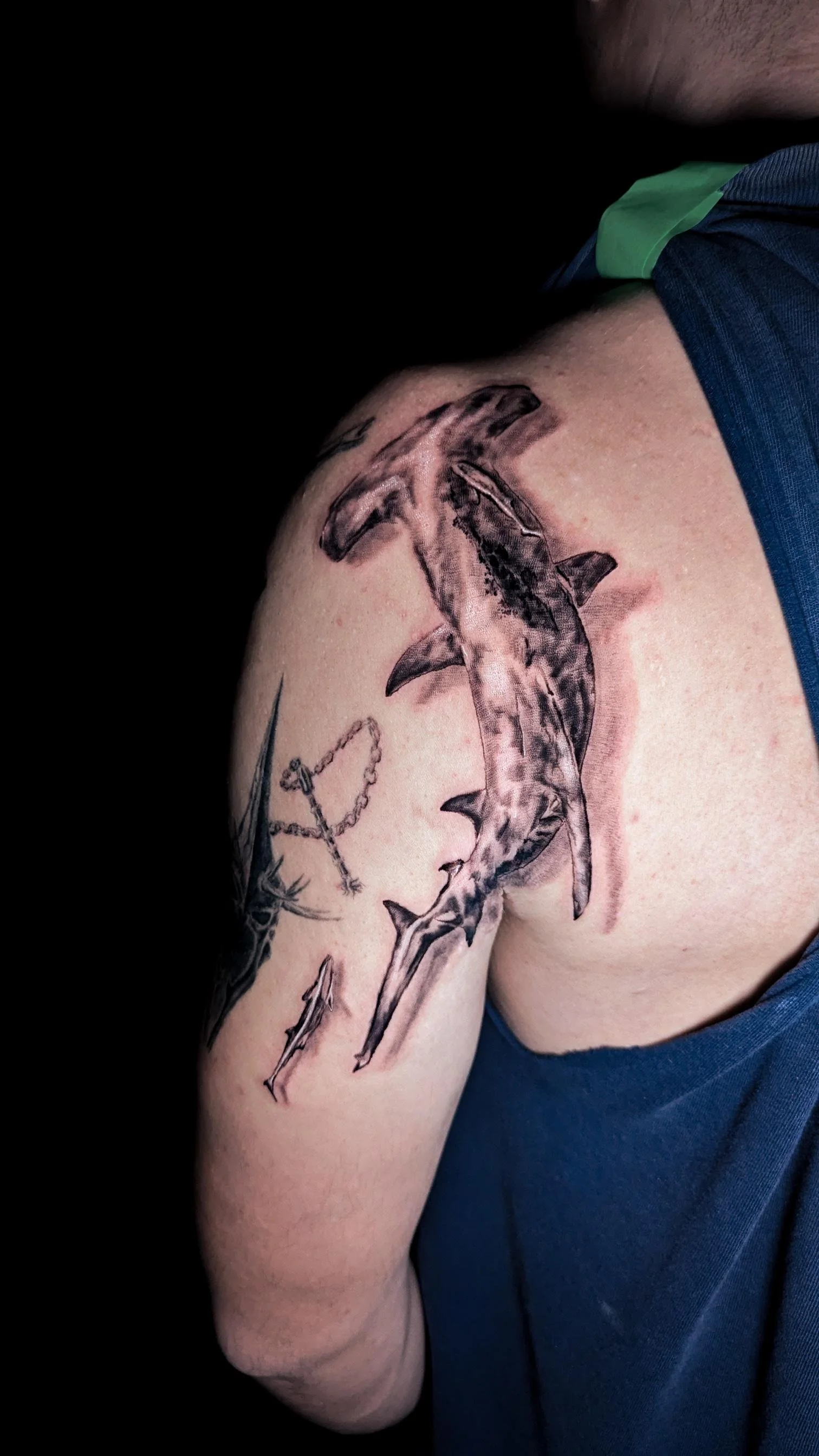 hammerhead.jpeg