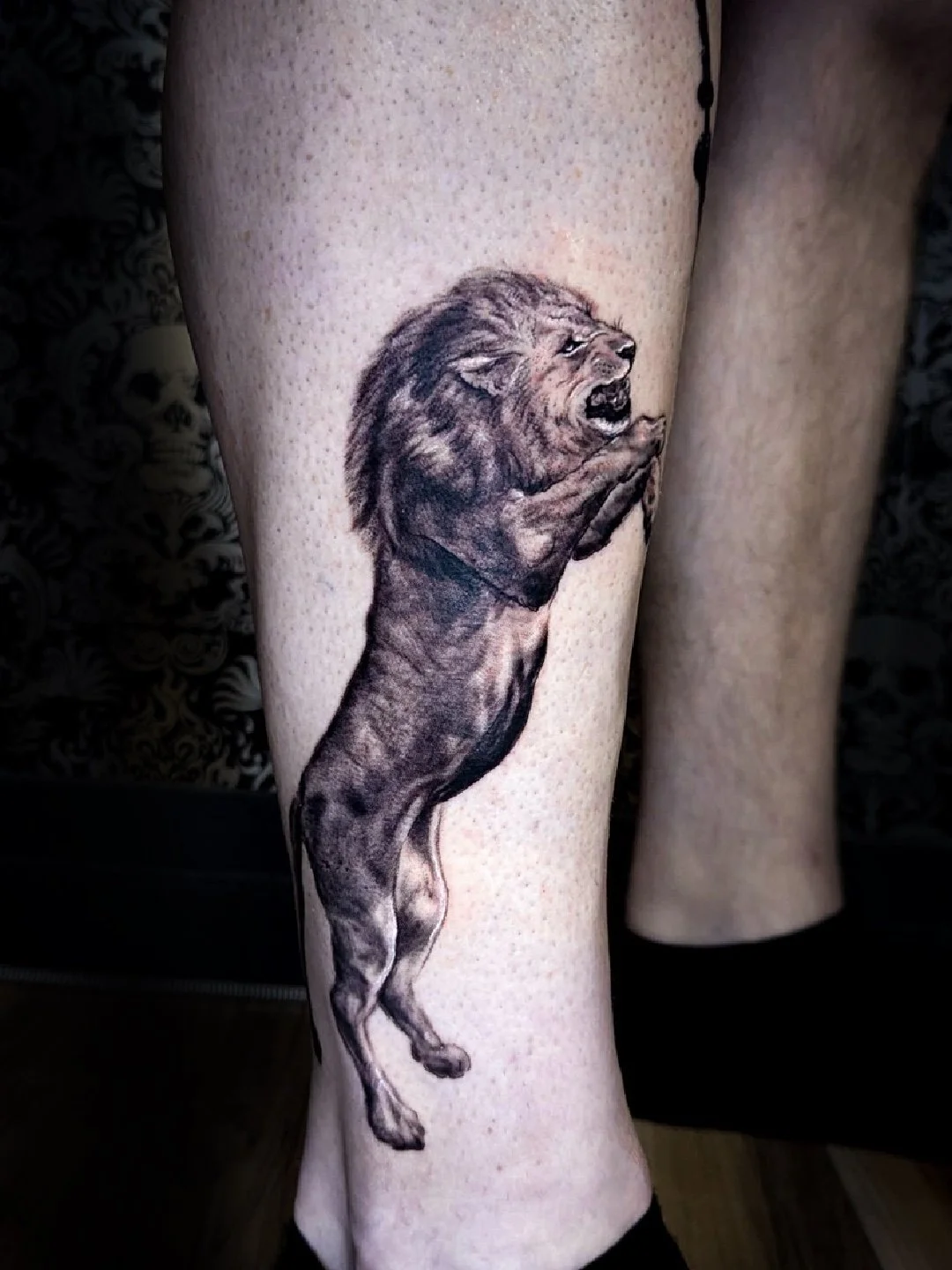 roaring-lion.jpeg