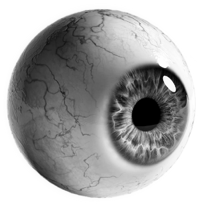 eyeball-2in-360-2.5in-450.png