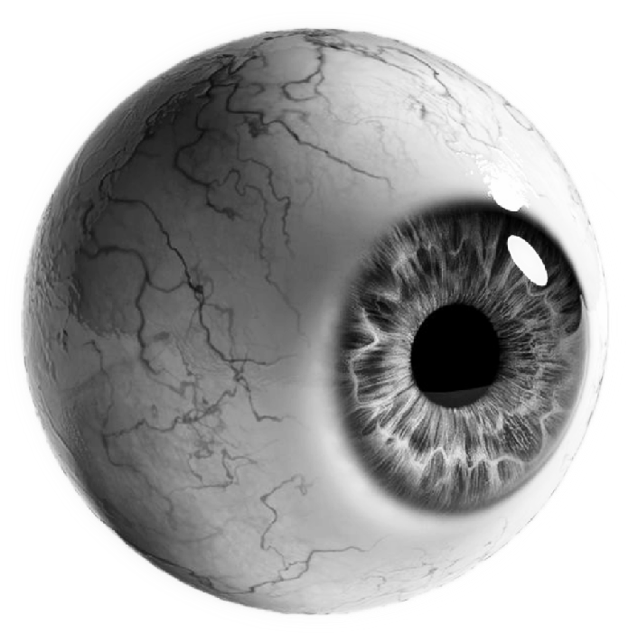 eyeball-2in-360-2.5in-450.png