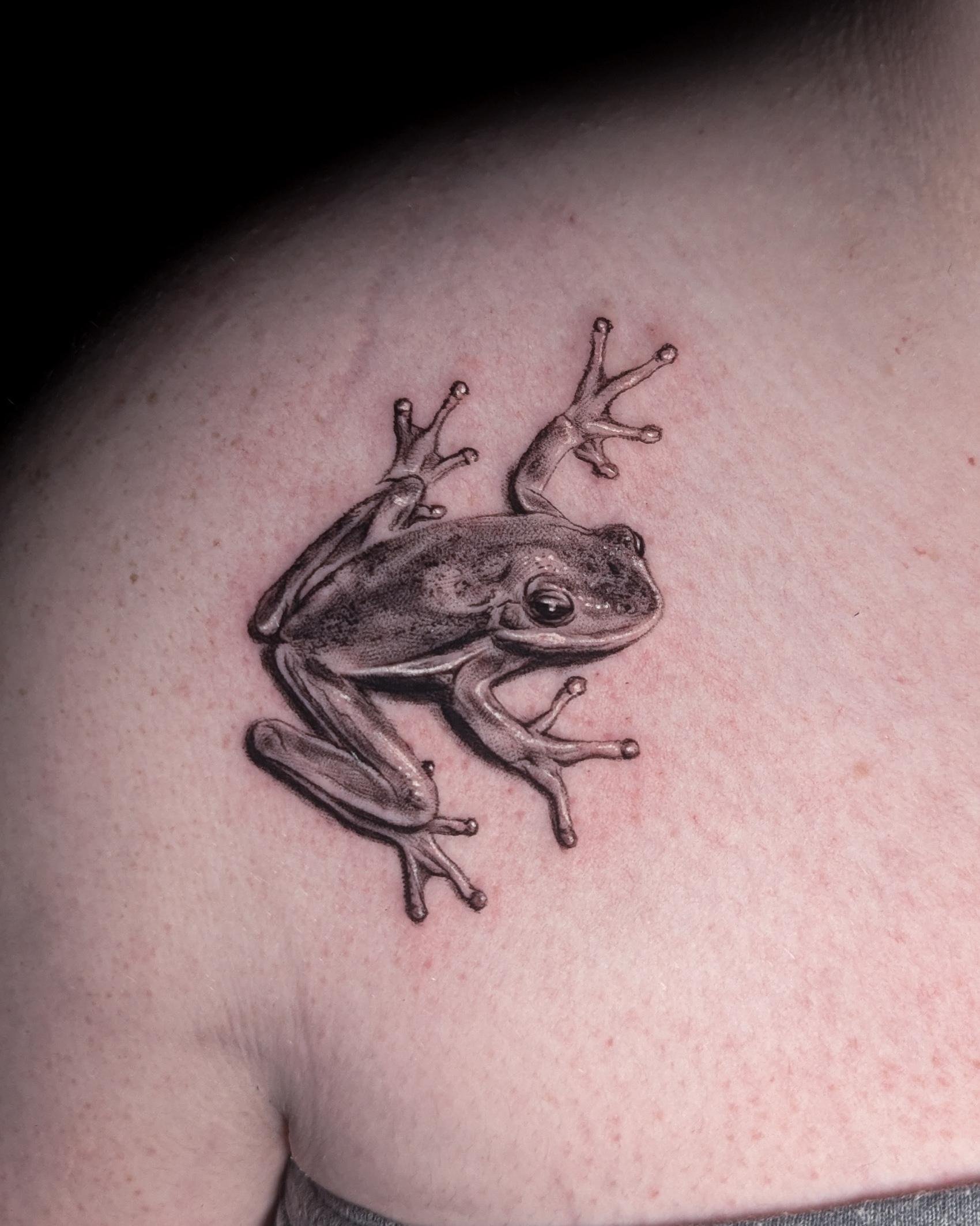 tree-frog.jpeg