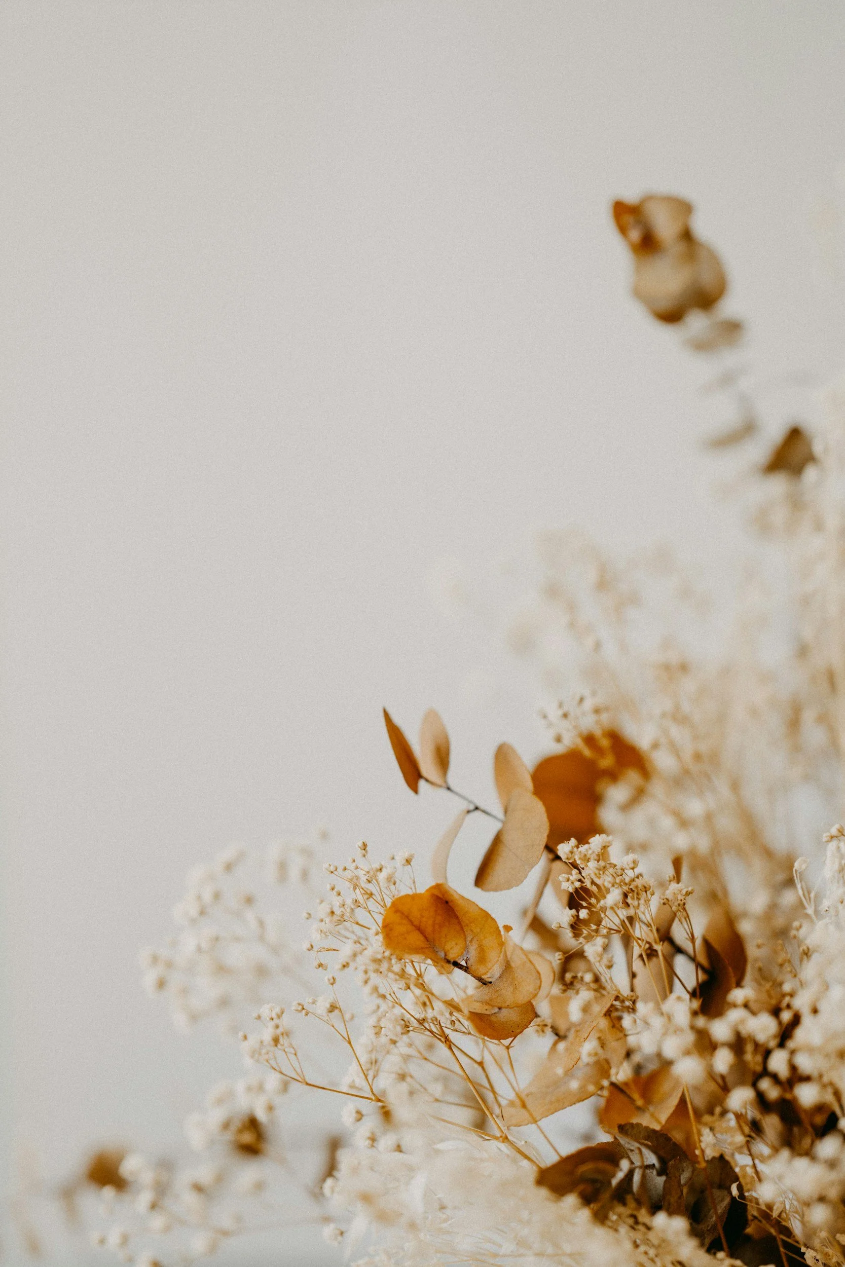 A close-up of a dried floral arrangement featuring various small dried flowers and leaves in neutral tones against a plain, light background.