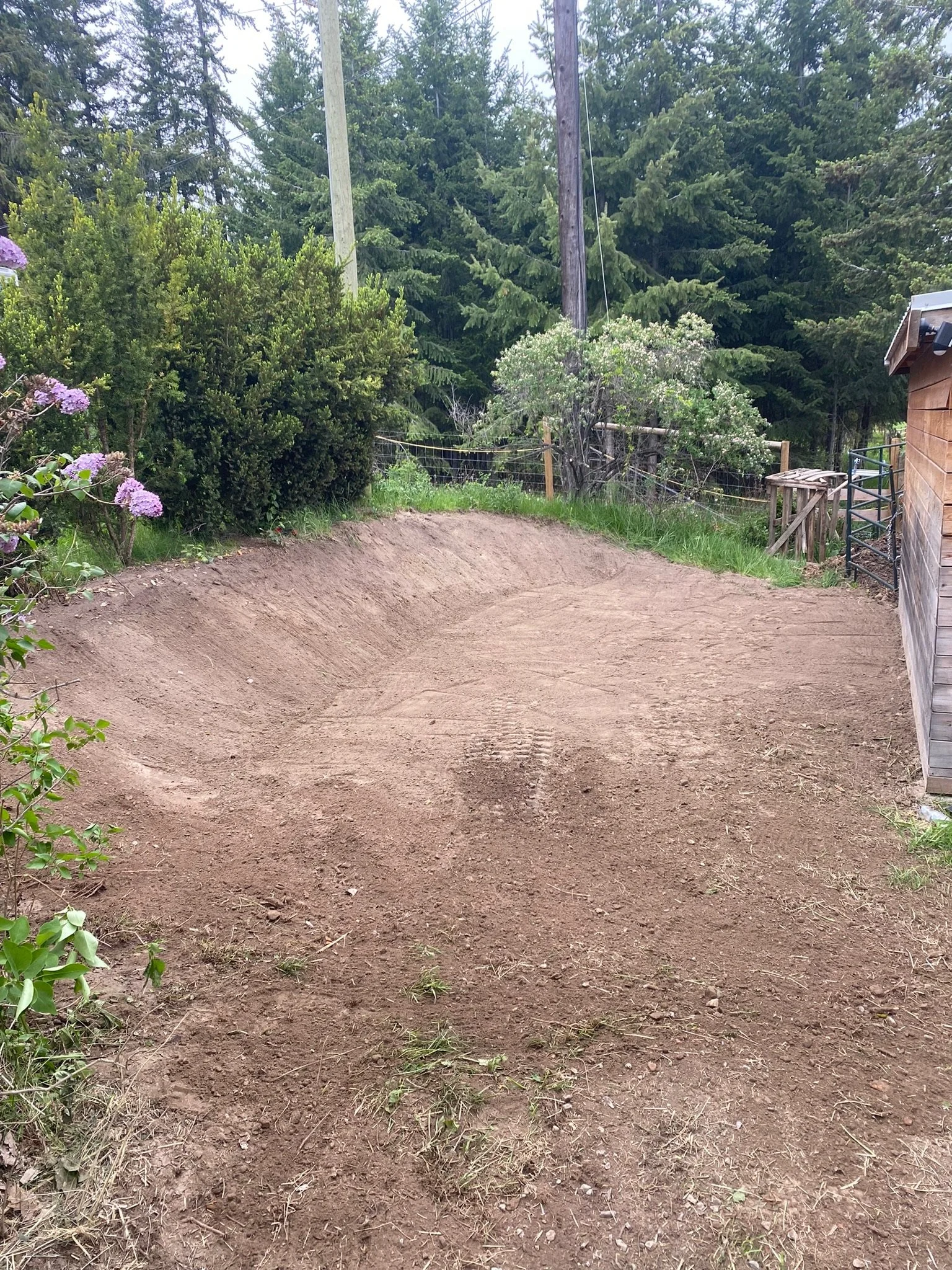 A cleared dirt area in a backyard with surrounding green bushes, trees, and a wooden fence.