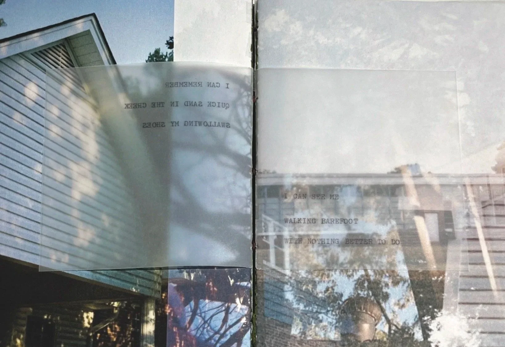 Senior Thesis
