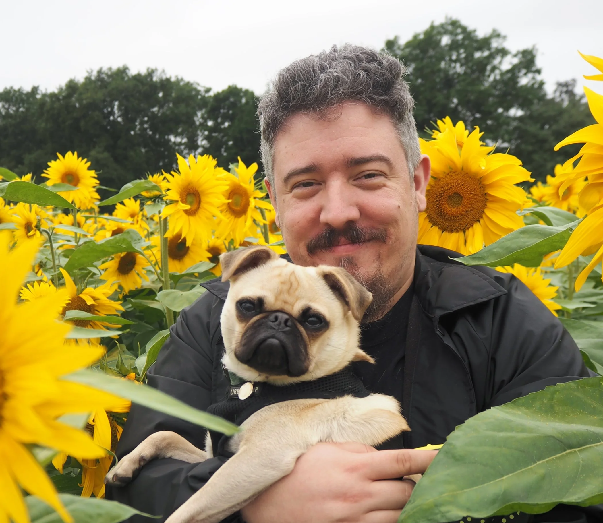 A man with curly gray hair, a beard, and mustache smiling while holding a small pug puppy in a sunflower field under an overcast sky.