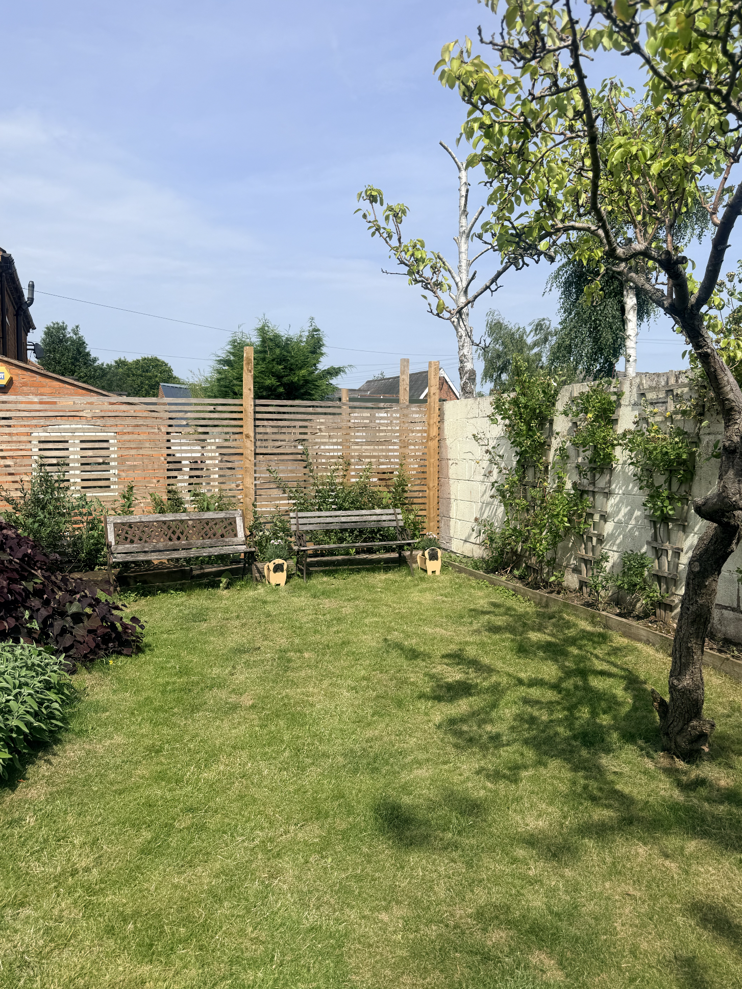 A backyard garden with green grass, several trees, and bushes. There are two wooden benches in the center and a fence on the right side with climbing plants. The sky is clear with few clouds.