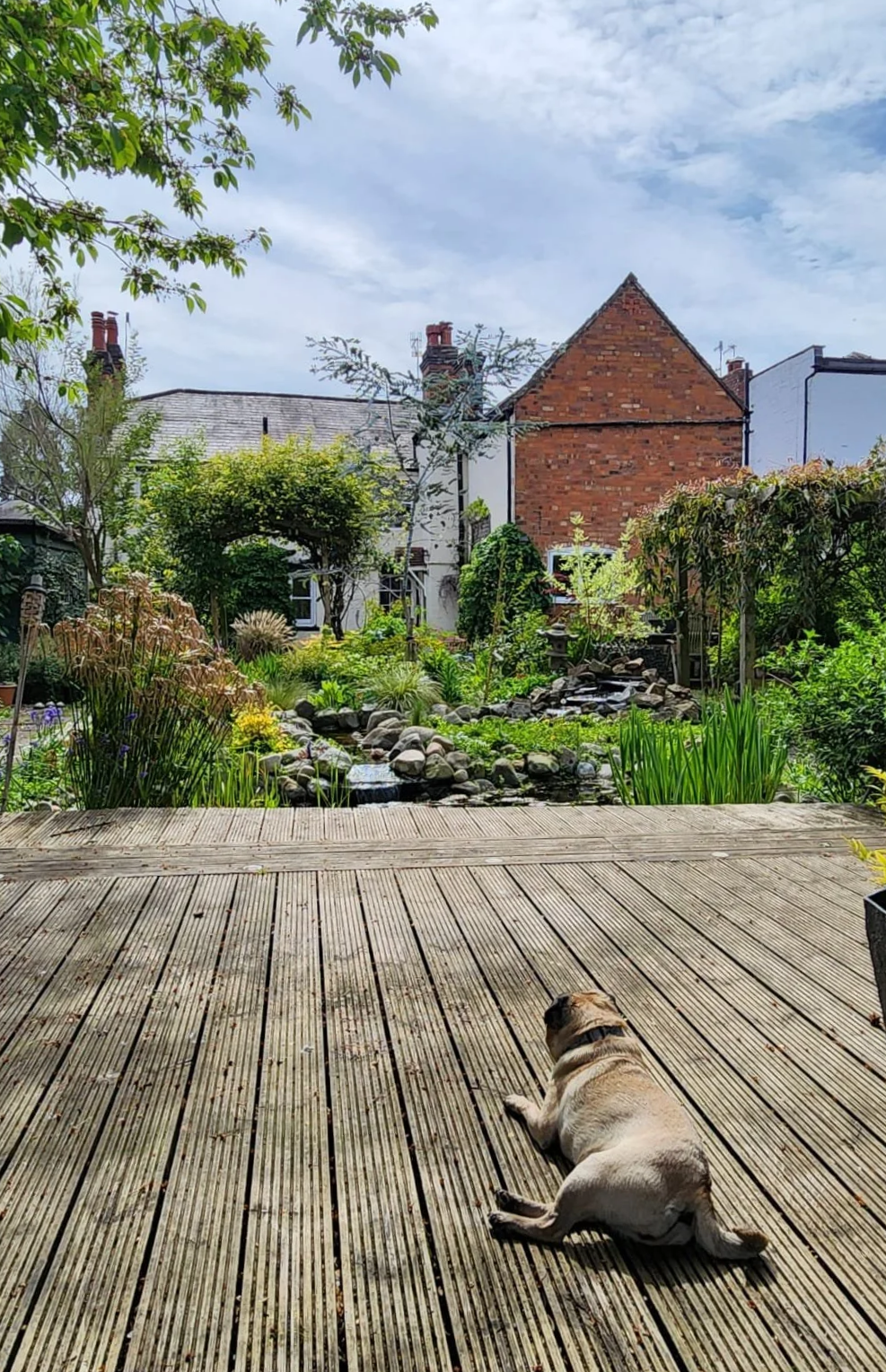 A dog lying on a wooden deck overlooking a lush green garden with trees, plants, and a small pond, with houses and a partly cloudy sky in the background.