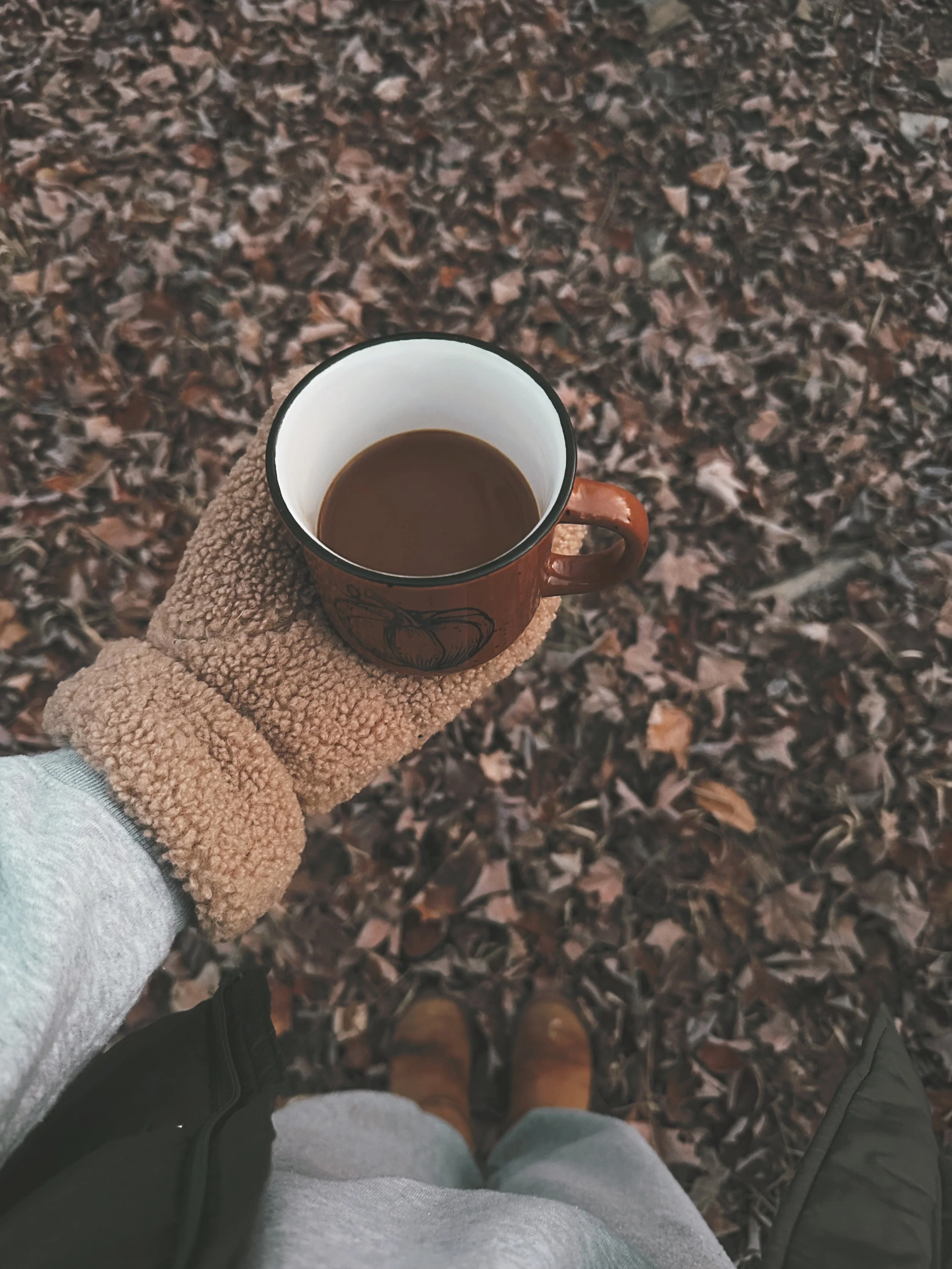 Life and Travel: Chronic Illness Support