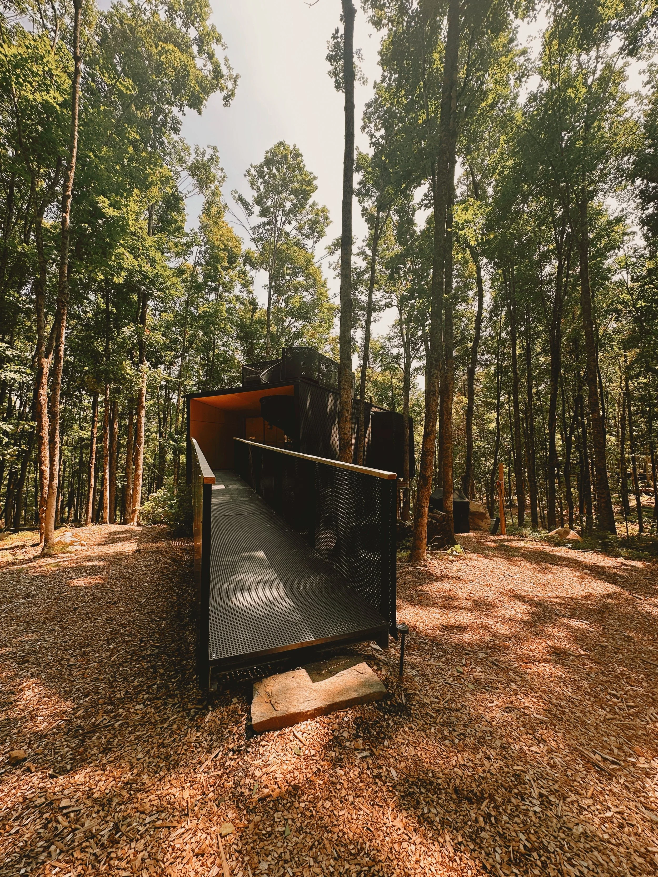 Fort Treehouse Co.