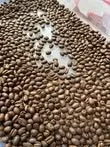 Whole Sale Coffee