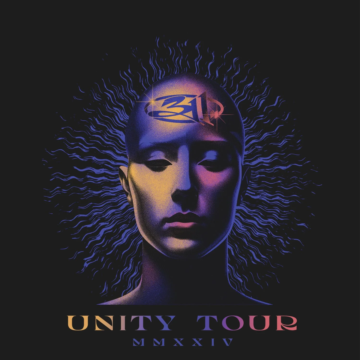 311  UNITY TOUR 2024 VISIONARY  copy.jpg