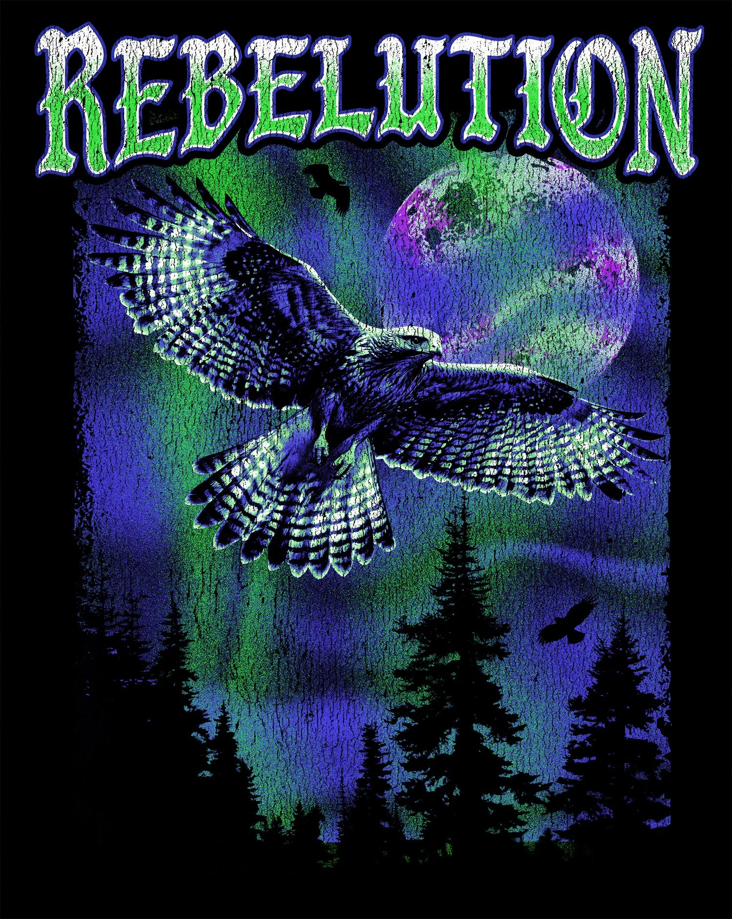 REBELUTION NORTHERN LIGHTS HAWK FINAL PRINT copy.jpg