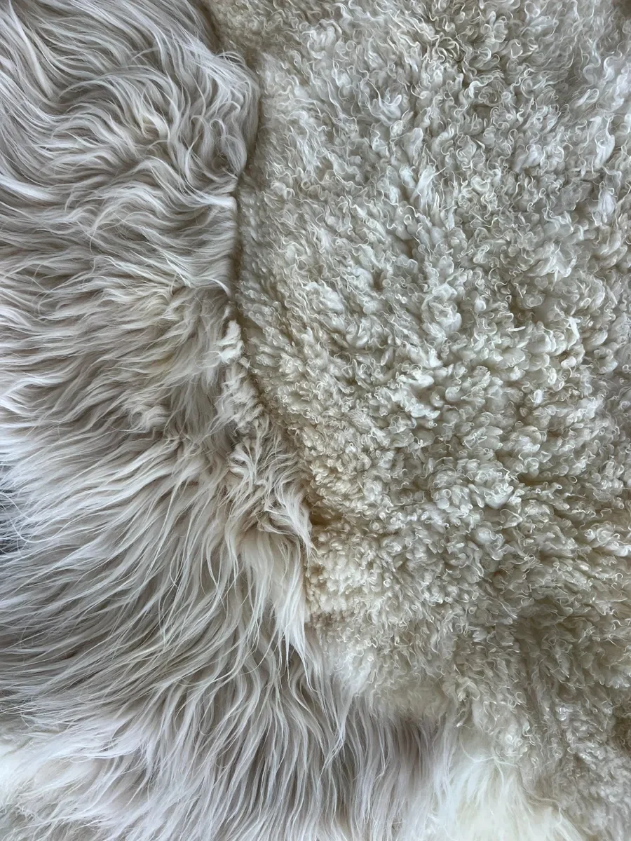 Princess by Wol Society, an ivory sheep skin rug with tight curls and long, silky locks