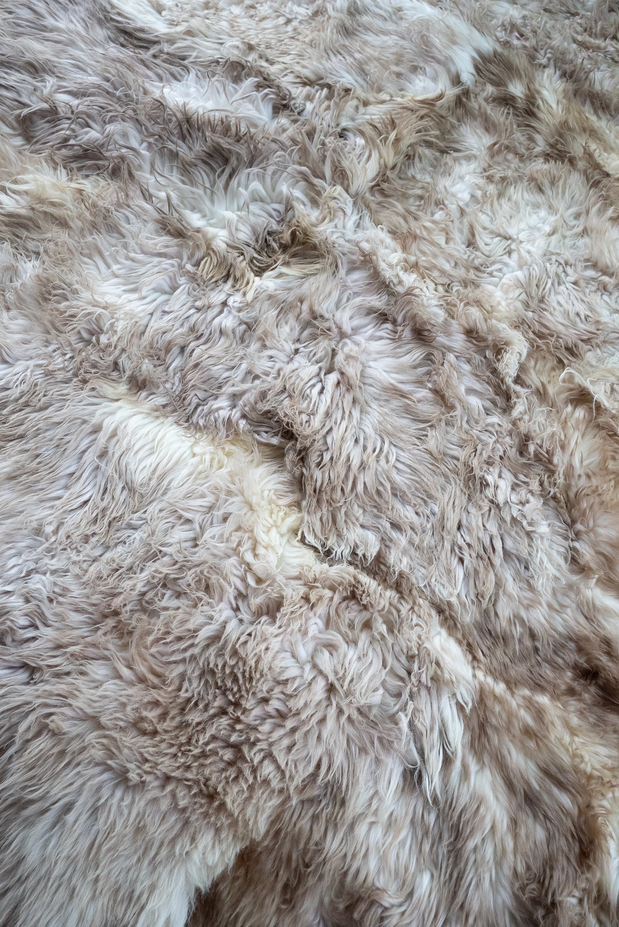 baaa-bara-sheepskin-rug (1).jpg