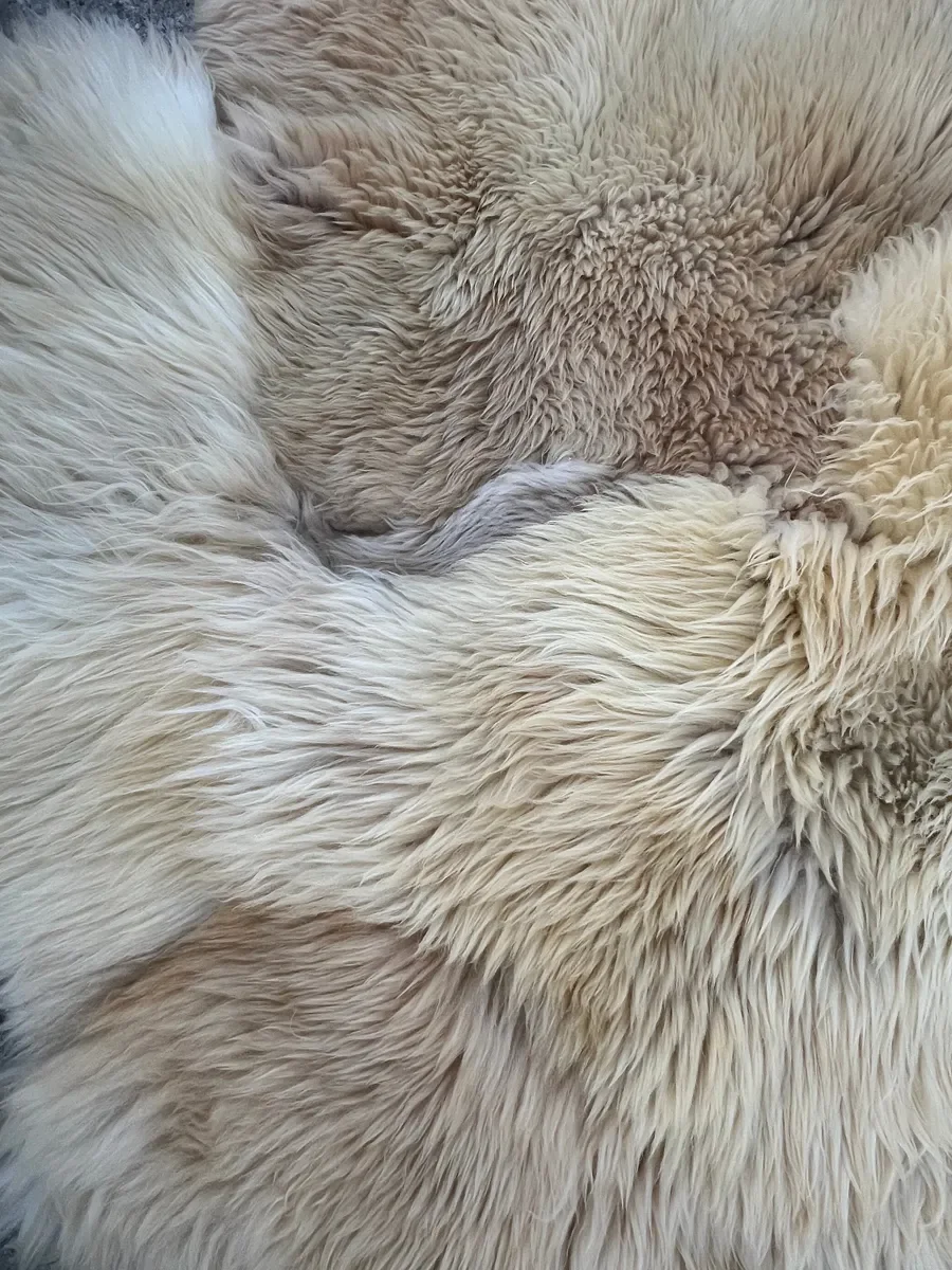 Sweetheart by Wol Society, a shaggy honey and blonde sheep skin rug