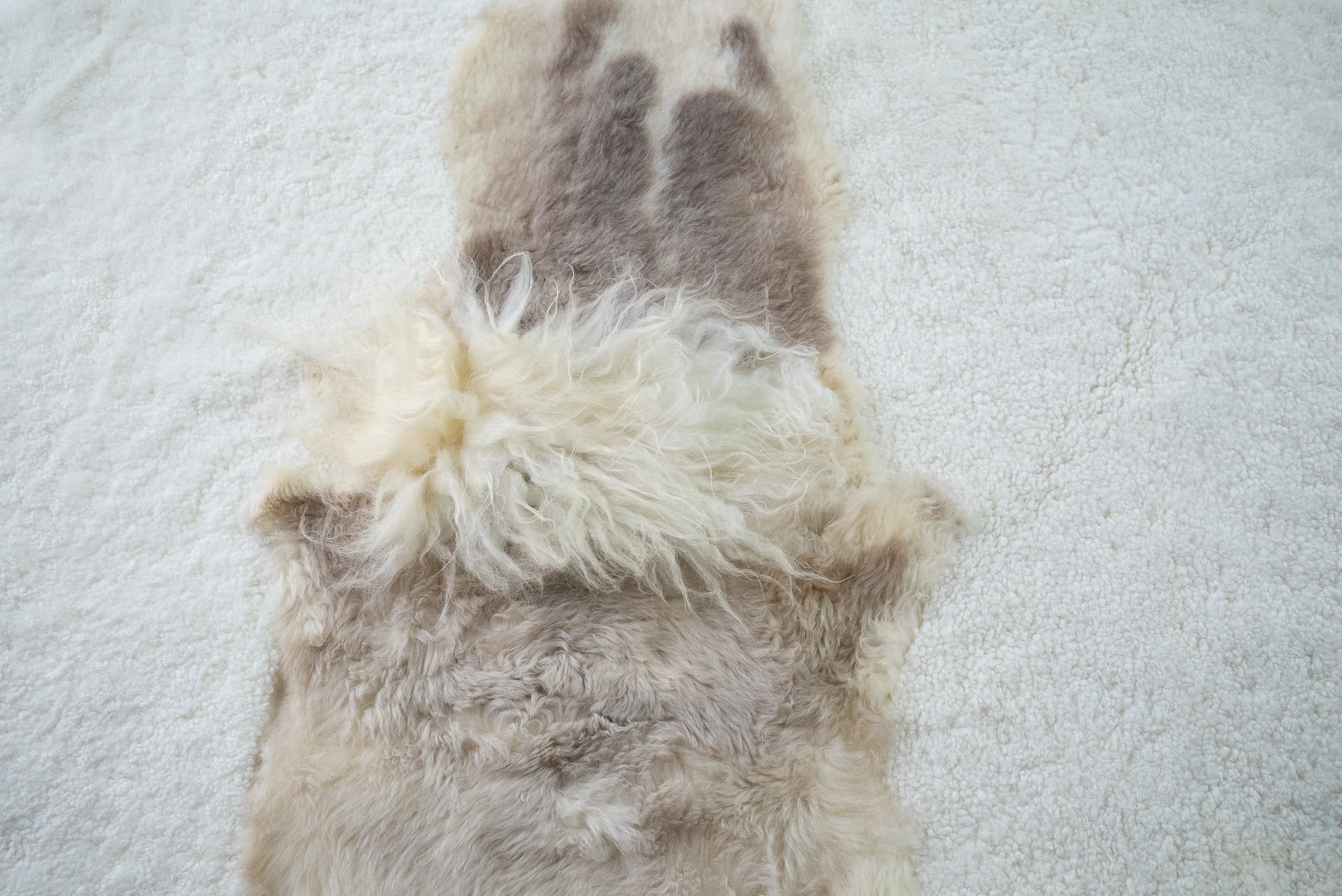 cutie-sheepskin-rug (1).jpg