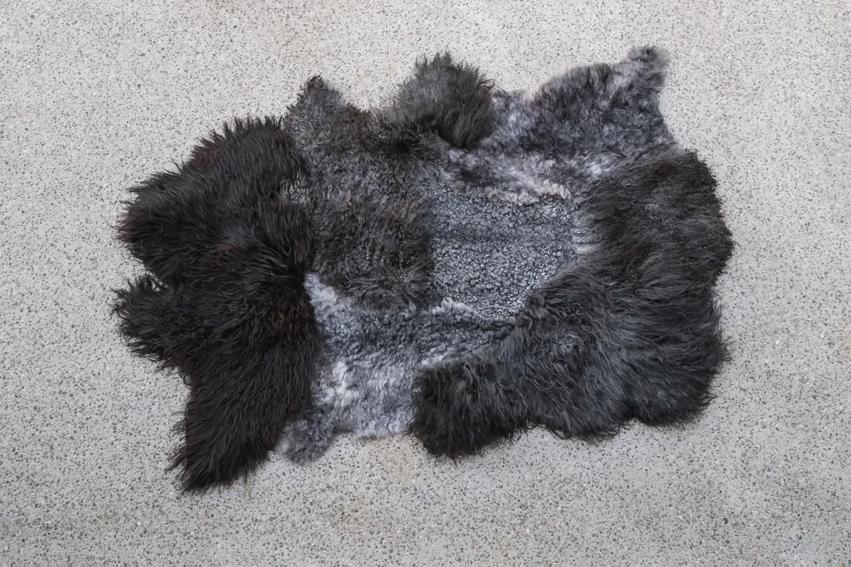Shadow by Wol Society, a dark sheep skin rug with long black fleece around tight silver grey curls