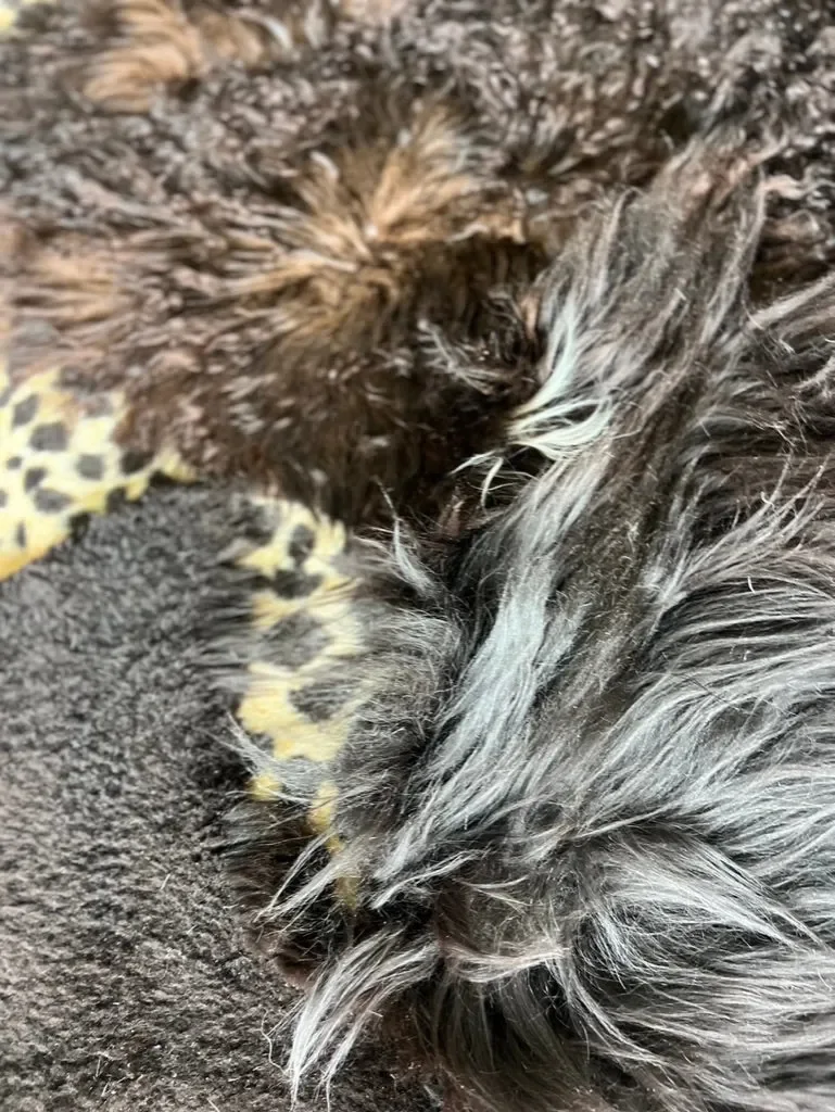 Leo by Wol Society, a giant black sheepskin rug with a faux leopard print center
