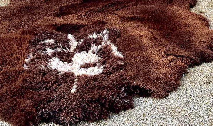 Jackson Hole by Wol Society, a shaggy chocolate brown sheepskin rug with a splash of white at its center
