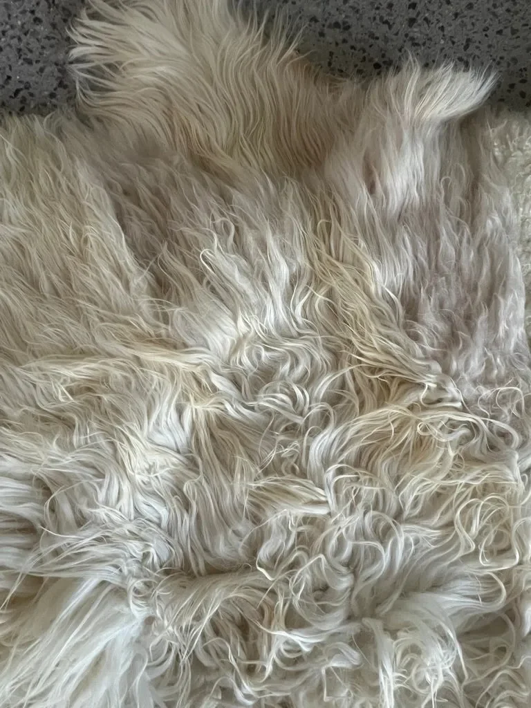 Gabin by Wol Society, a creamy white sheepskin rug with gently wavy fleece and a hint of dark brown