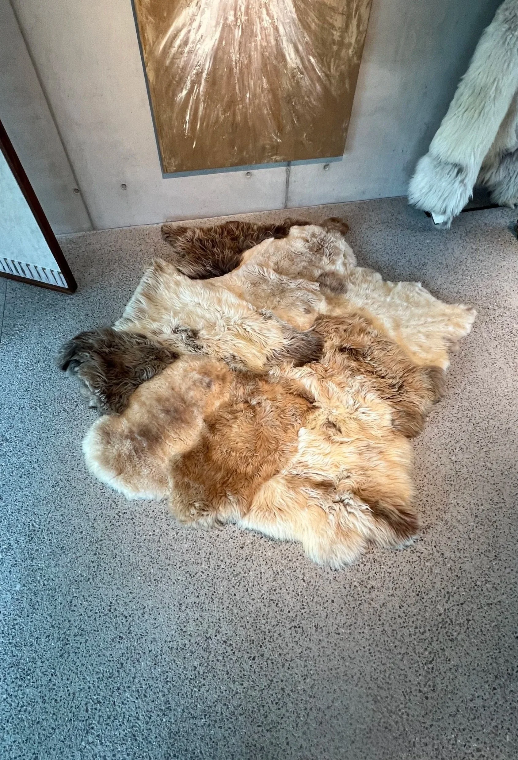 Rosette by Wol Society, a large white and dark brown patchwork sheepskin rug with long, wavy curls