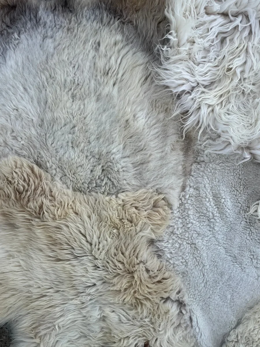 Tilly Moon by Wol Society, an ivory sheep skin rug with taupe pelts, silver grey curls and small brown spots