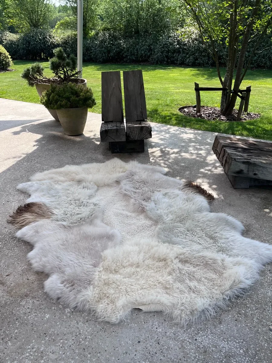 Angelica by Wol Society, a creamy white and pale grey sheep skin rug with rust-tipped edges